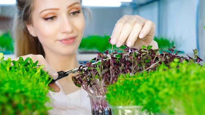 SES Kimya develops microbiome-support dermocosmetic formulation for private label partners