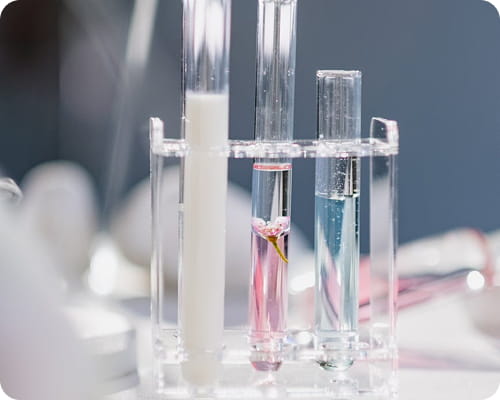 Product Development